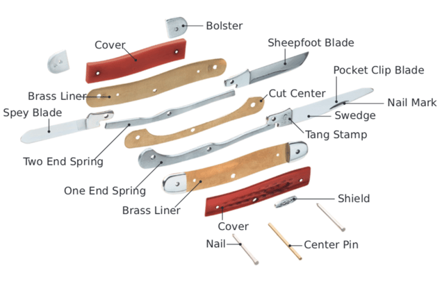 Anatomy-of-a-Case-knife (1)-1